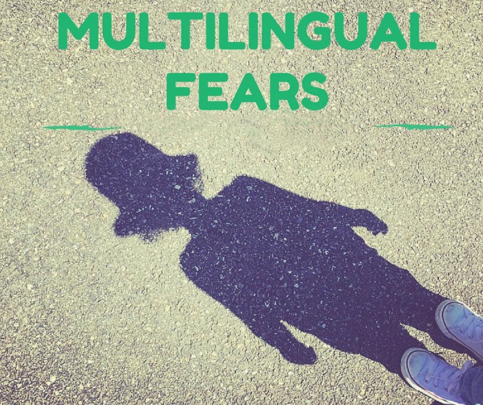 Multilingual Fears