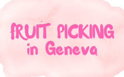 Fruit picking in Geneva