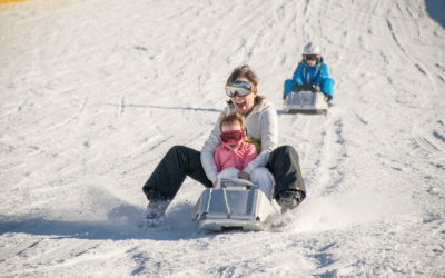 Sledging around Geneva