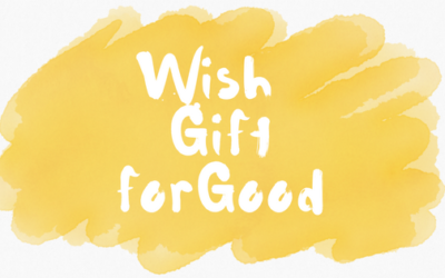 WiGiGo Kids – the gift giving revolution