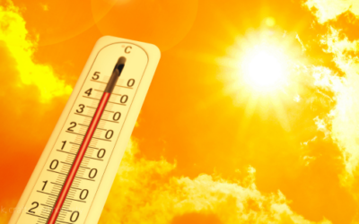 Heatwave in Geneva with kids