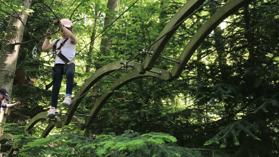 ACCROBRANCHE aka Tree Top Adventure Parks in Geneva