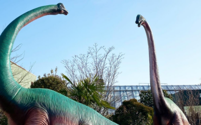 Jardin des dinosaurs in Gland