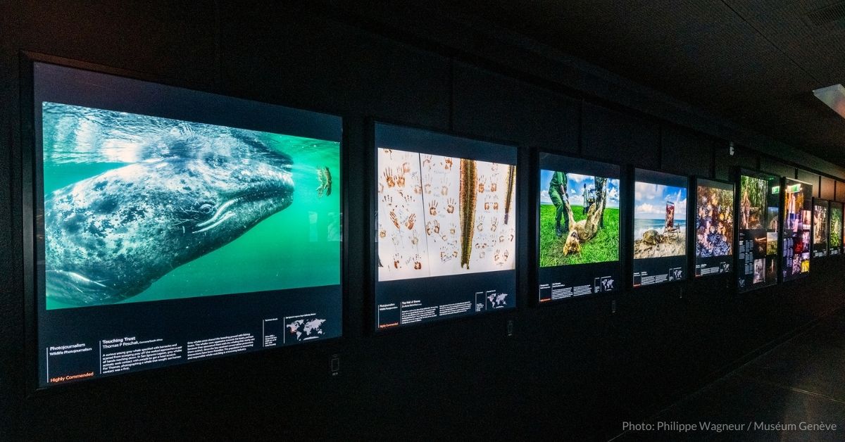 1 200 anniversary natural history museum geneva
