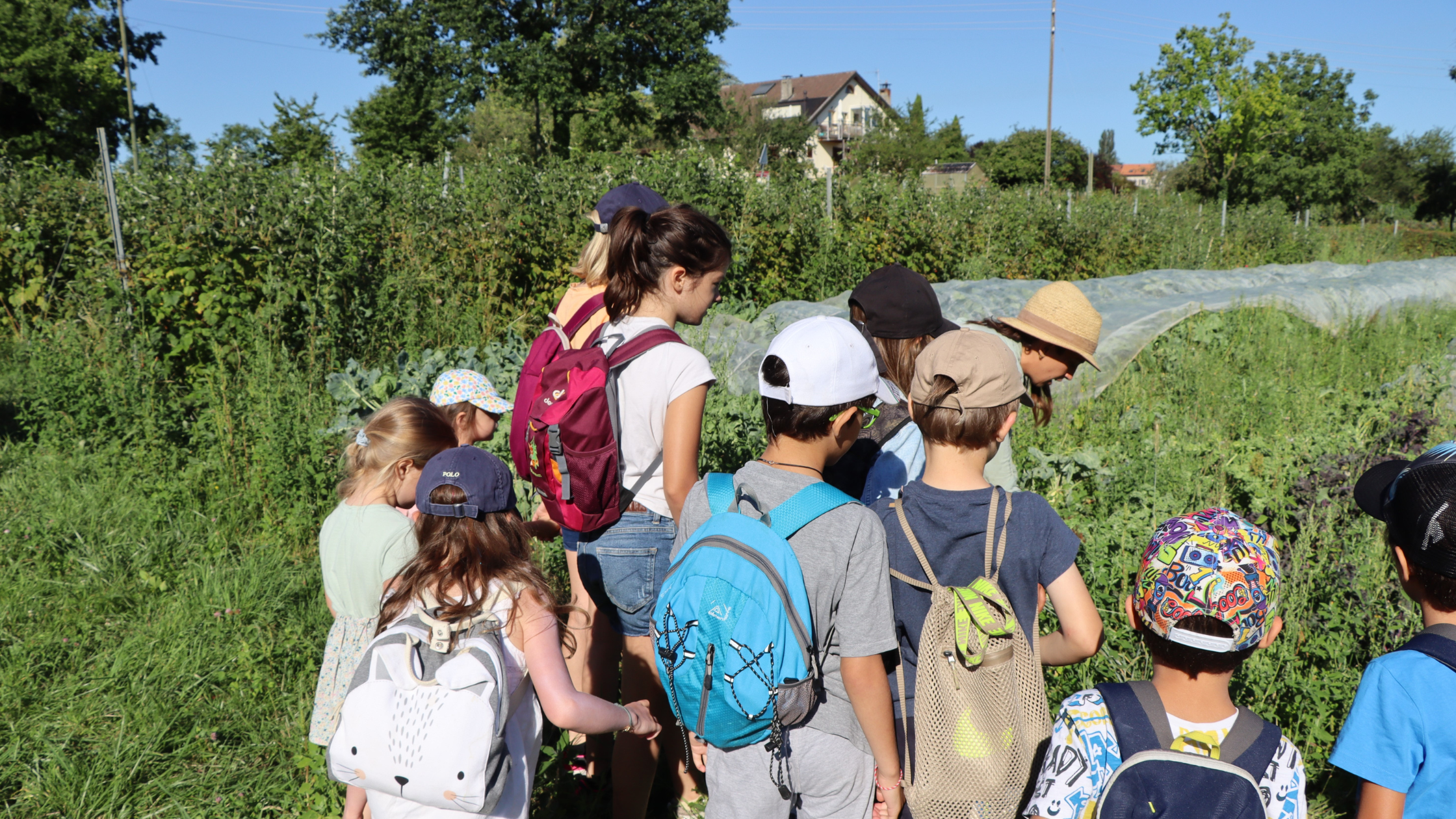 choulex summer camps geneva 2023 choulex